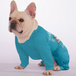 P3_66d146b4-535e-40f4-ad4c-f3dc657353ba.png