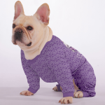 P3_2062914f-f07c-4d95-b31b-53786c4da0f5.png