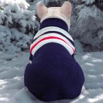 www.frenchie.shop-Festive-Frenchie-Christmas-Sweater-1.jpg