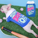 www.frenchie.shop-French-Bulldog-Sporty-Winter-Sweater.png