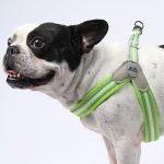 www.frenchie.shop-PawGrip-No-Pull-Frenchie-Harness-with-Leash-5.jpg
