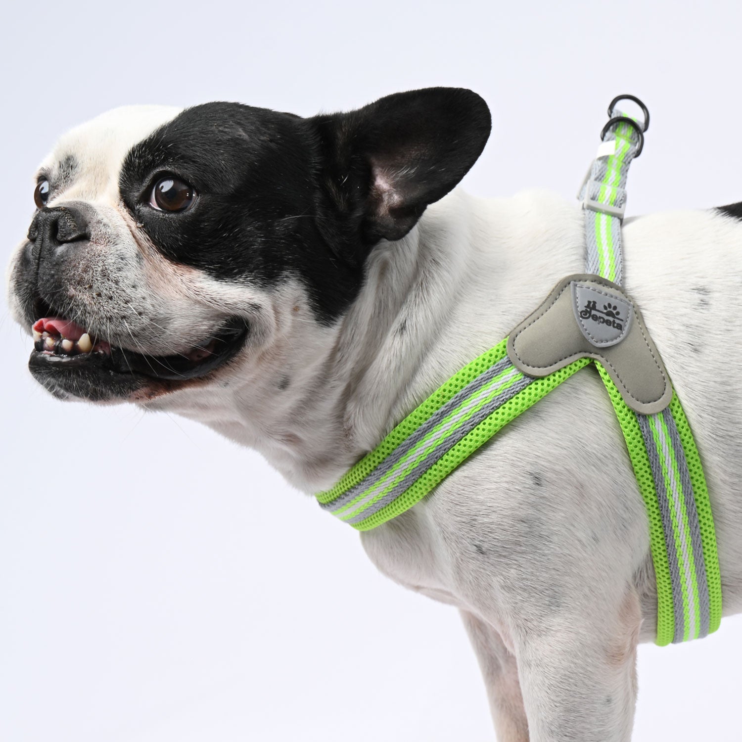 www.frenchie.shop-PawGrip-No-Pull-Frenchie-Harness-with-Leash-6.jpg