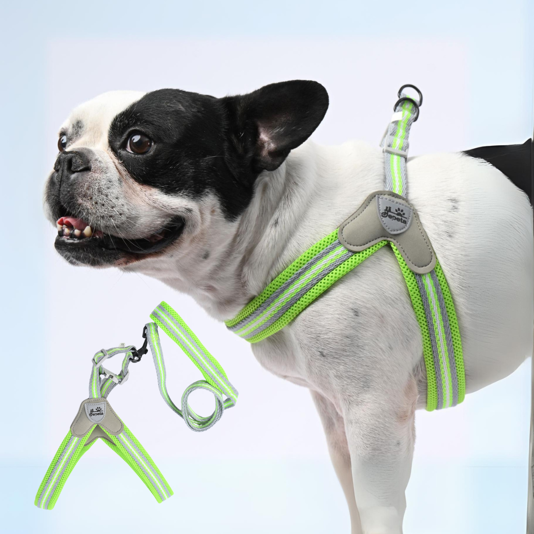www.frenchie.shop-PawGrip-No-Pull-Frenchie-Harness-with-Leash.png