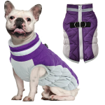 www.frenchie.shop-Reflective-Frenchie-Coat-with-Built-In-Harness.png