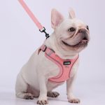 www.frenchie.shop-Shinelix-No-Pull-Frenchie-Harness-Explosion-Proof-Vest.jpg