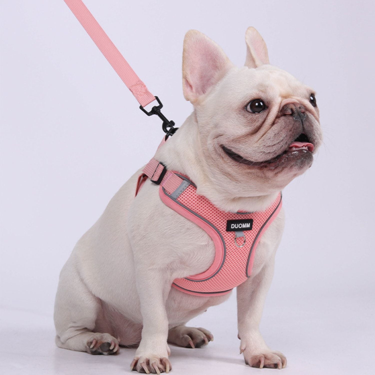 www.frenchie.shop-Shinelix-No-Pull-Frenchie-Harness-Explosion-Proof-Vest-1.jpg